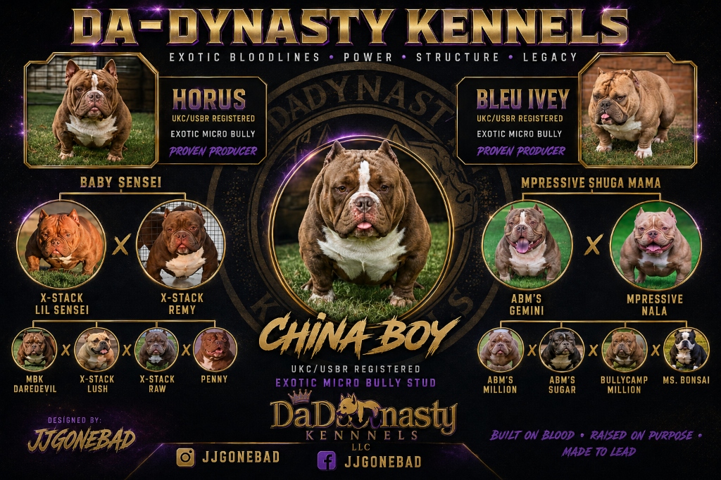 China Boy certified official 4-generation lineage pedigree chart featuring Horus and Bleu Ivey
